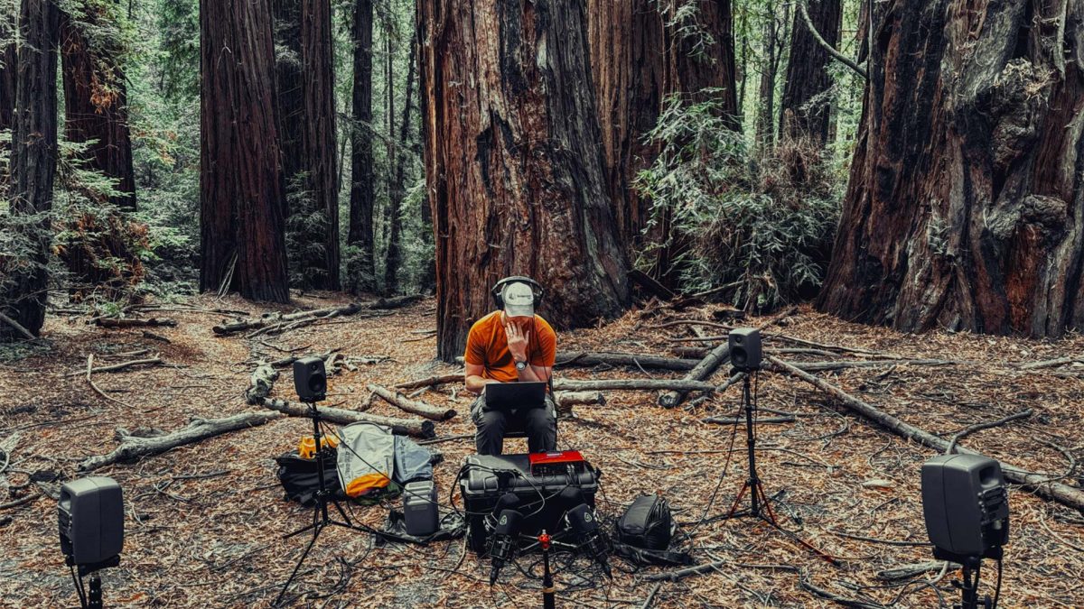 世界最高樹の生きた響きをGenelec 8010Aと共に奏でるレッドウッド・レゾナンス・プロジェクト